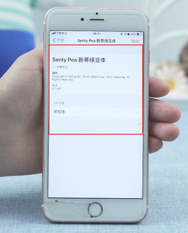 iOS13怎么更改字体(18)