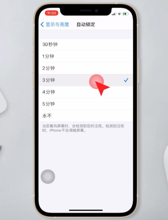 苹果手机自动锁定30秒怎么更改(3)