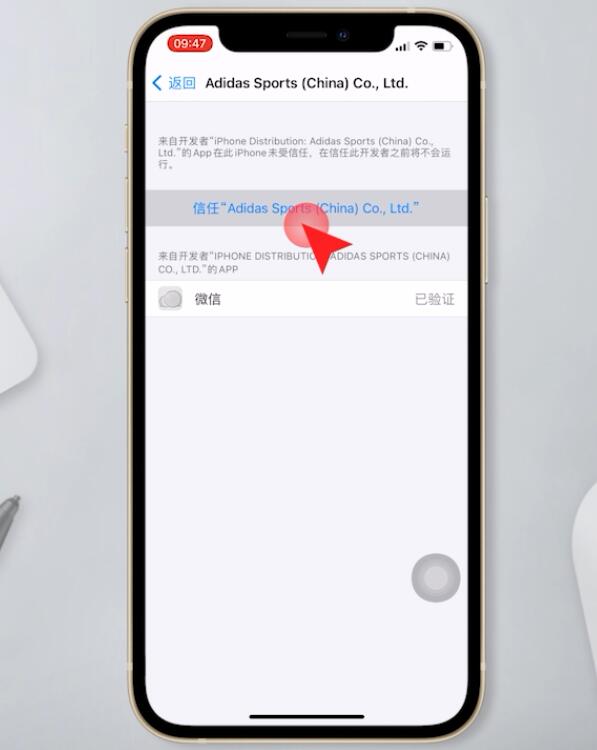 苹果未受信任的应用怎么才能用(4)
