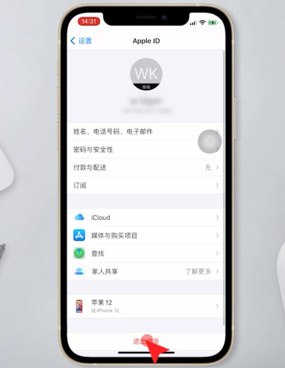 苹果手机怎么退出id登录(2)