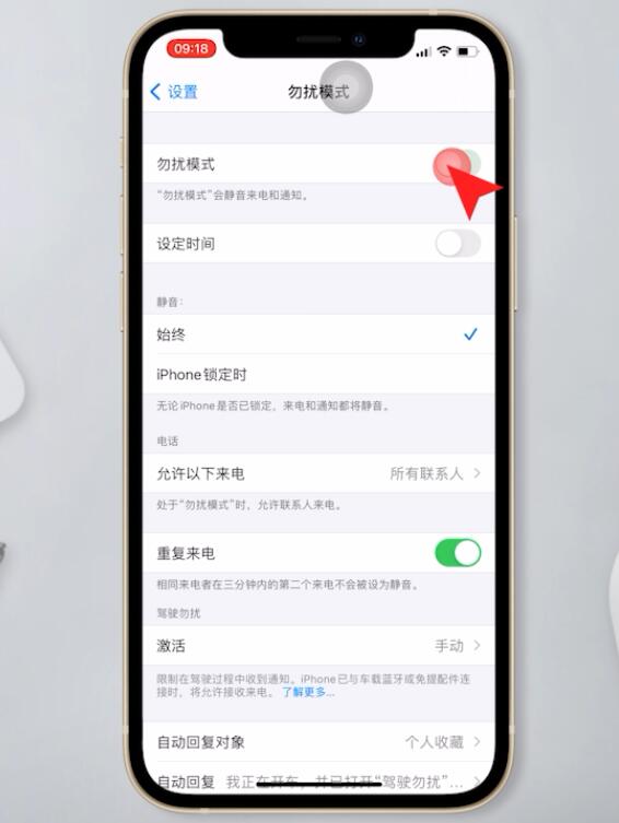 苹果手机来电静音怎么解除(5)