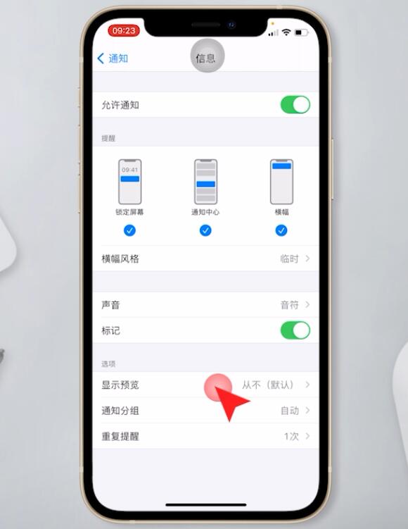 苹果手机信息不显示在屏幕上怎么设置(4)