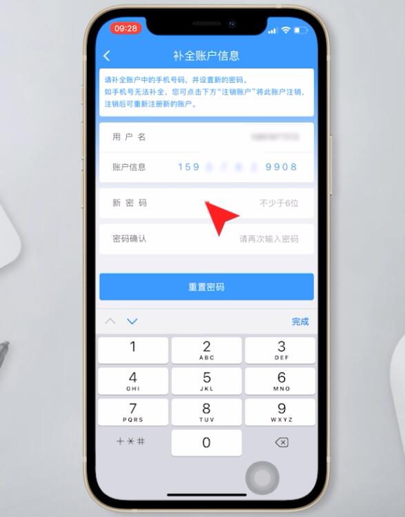12306账号已经注册了,忘记了怎么办(11)