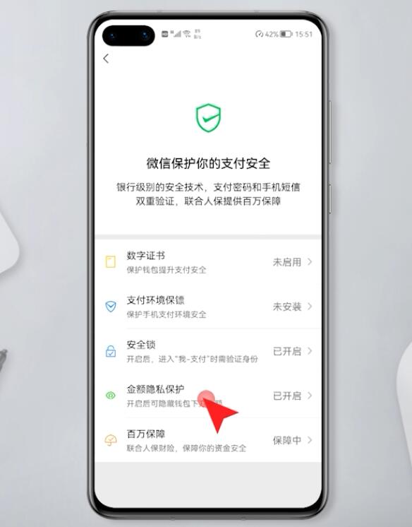 微信零钱显示怎么设置(5)