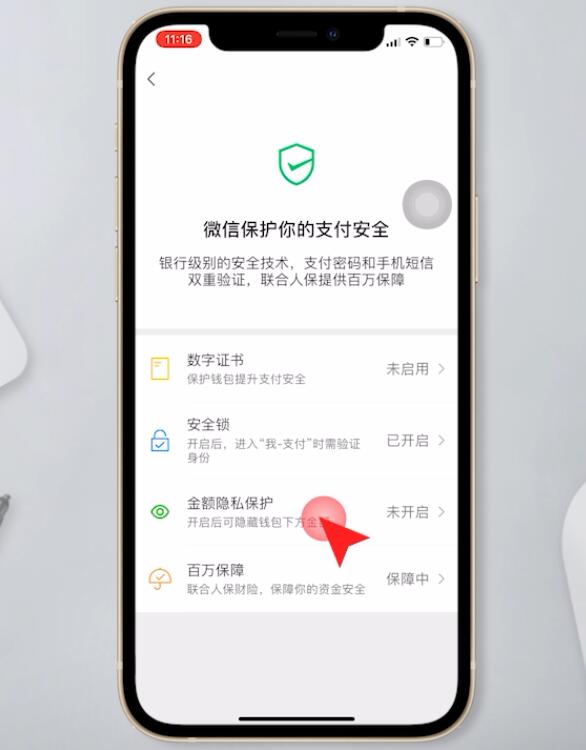微信支付怎么设置密码锁不让别人看余额(5)