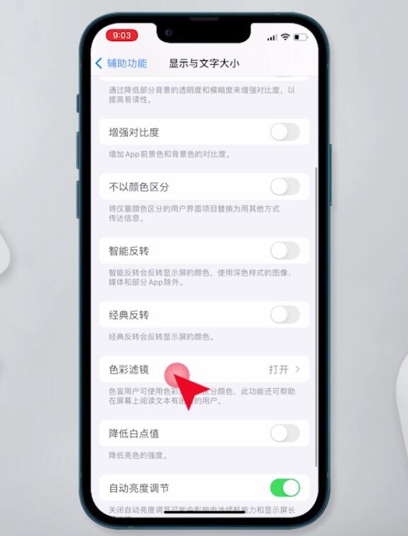 苹果手机变黑白怎么调回彩色(3)