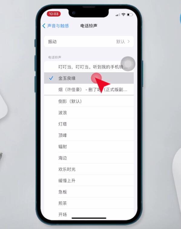 苹果来电铃声怎么设置自己喜欢的音乐(14)