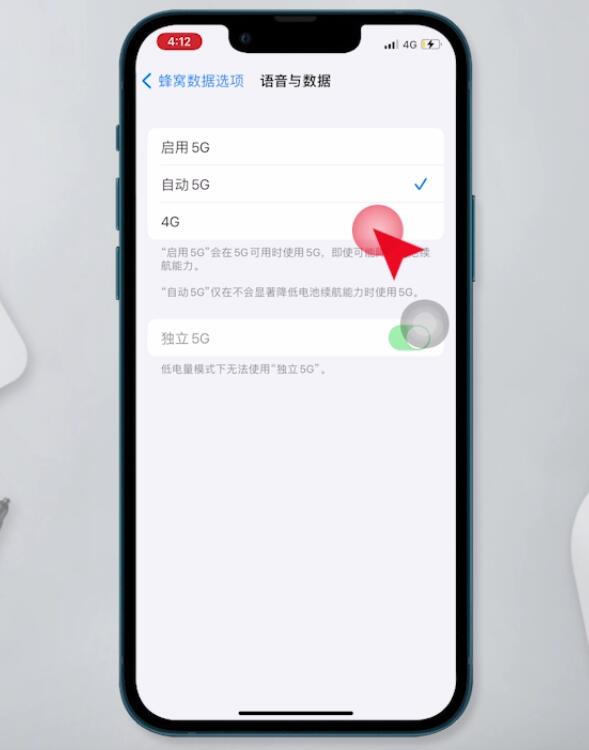 苹果13怎么关掉5G(4)