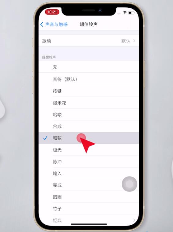 iphone12怎么设置手机铃声(3)