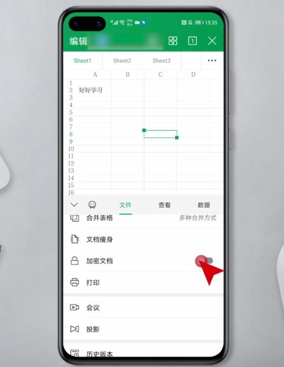 手机wps表格怎么加密文档(3)