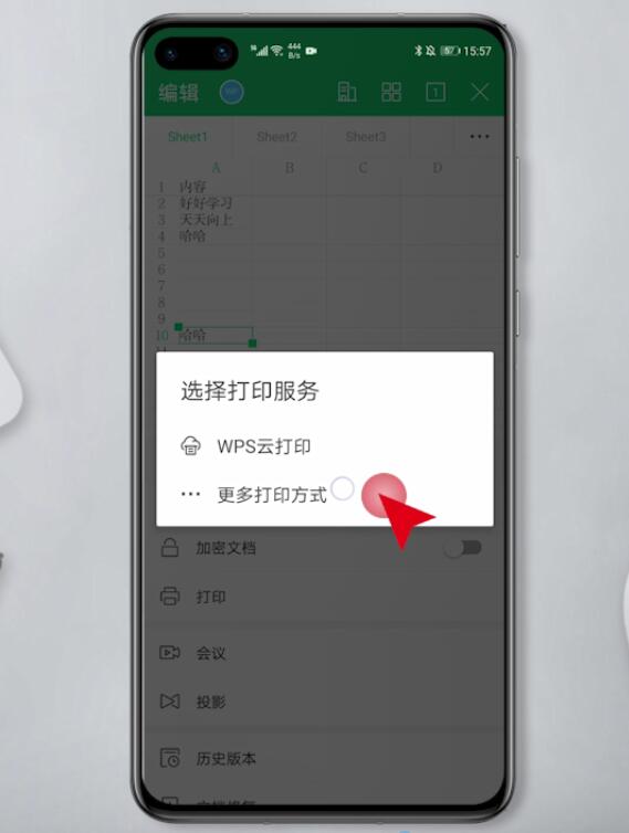 手机WPS怎么打印excel(4)