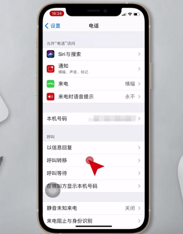 苹果呼叫转移怎么设置(2)