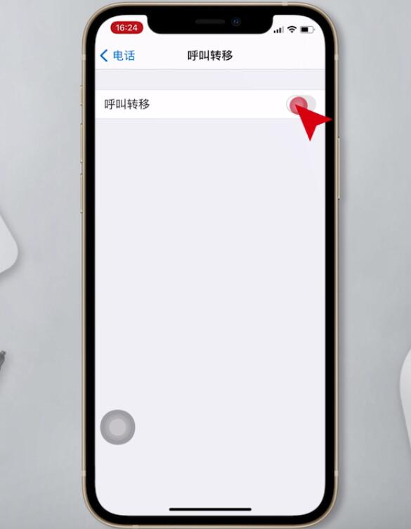 苹果呼叫转移怎么设置(3)