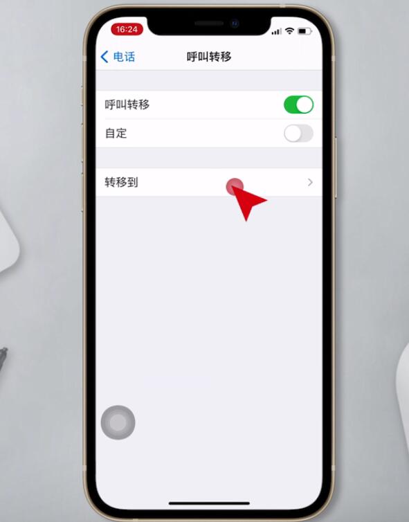 苹果呼叫转移怎么设置(4)