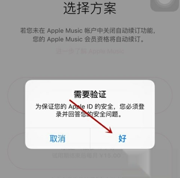 apple music怎么用