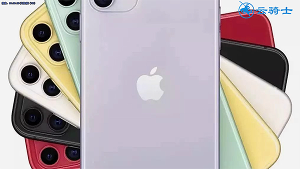 iPhone11开售时间(3)