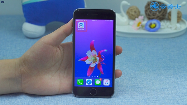 陌陌手机注册验证码几位数