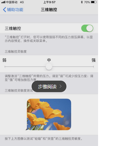 iphone83d表情在哪设置(3)