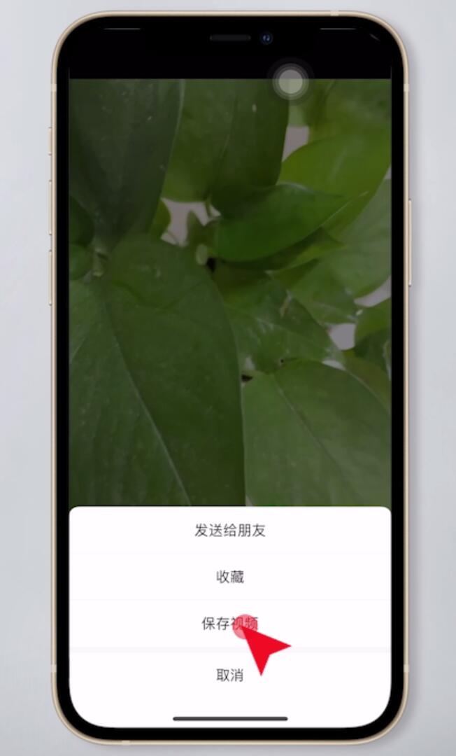 朋友圈的视频怎么保存到相册里面去(5)