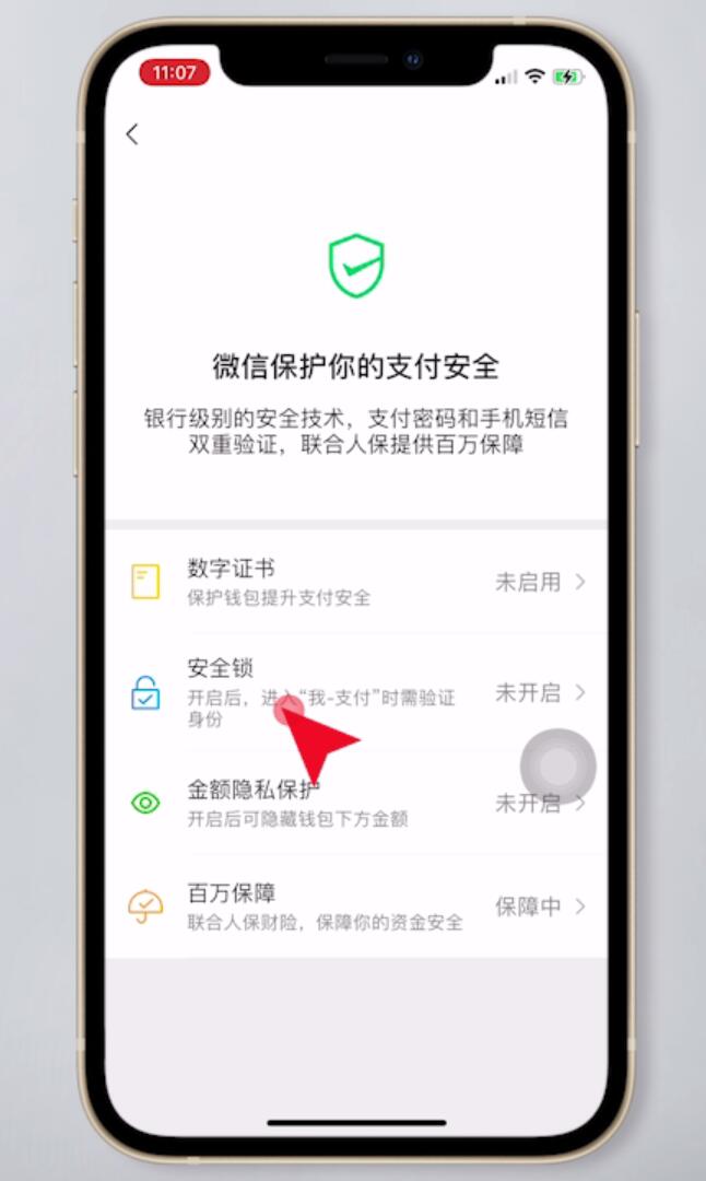 苹果微信支付怎么设置密码才能进入(5)