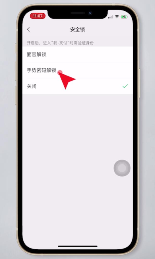 苹果微信支付怎么设置密码才能进入(6)
