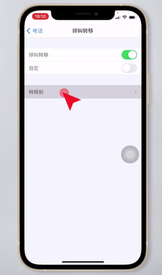 苹果手机呼叫转移怎么设置(4)