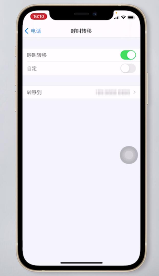 苹果手机呼叫转移怎么设置(7)