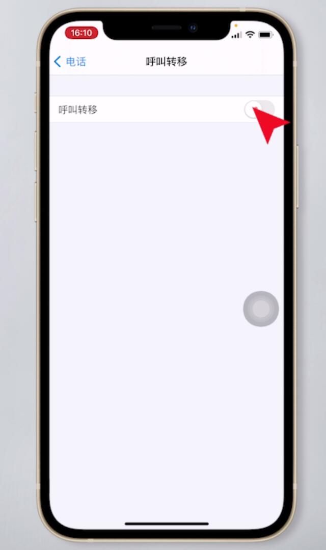 苹果手机呼叫转移怎么设置(3)