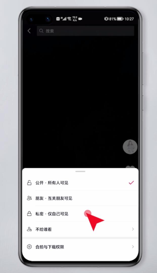抖音怎样设置不让别人看到自己的作品(5)