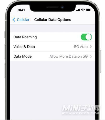 iphone13pro为什么不显示5g-有什么办法解决吗