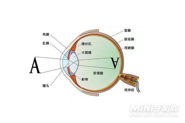 vivoX70t屏幕刷新多少-支持高刷新吗