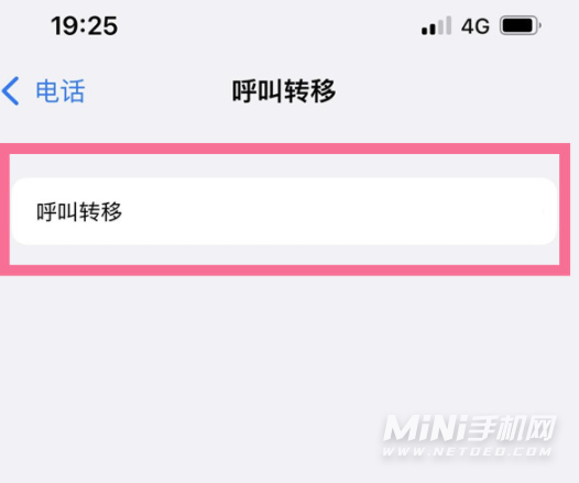 iPhone13怎么设置呼叫转移-设置呼叫转移方法