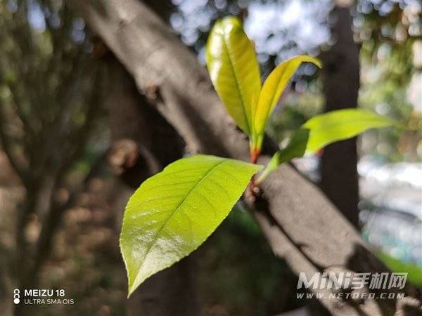 魅族18手机怎么样-现在还值得入手吗