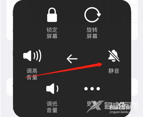 iPhone13静音模式怎么开(9)