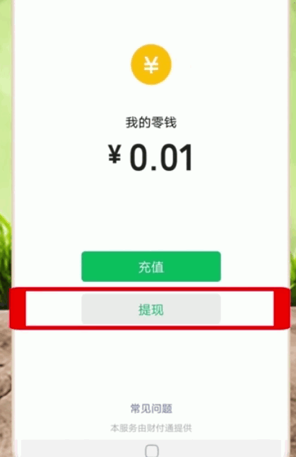 微信里的钱怎么转到支付宝(3)