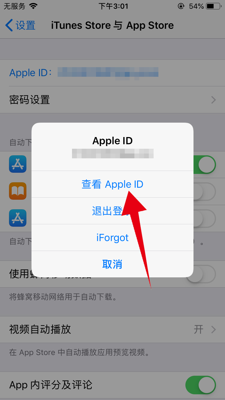 iphone支付设置在哪里设置(3)