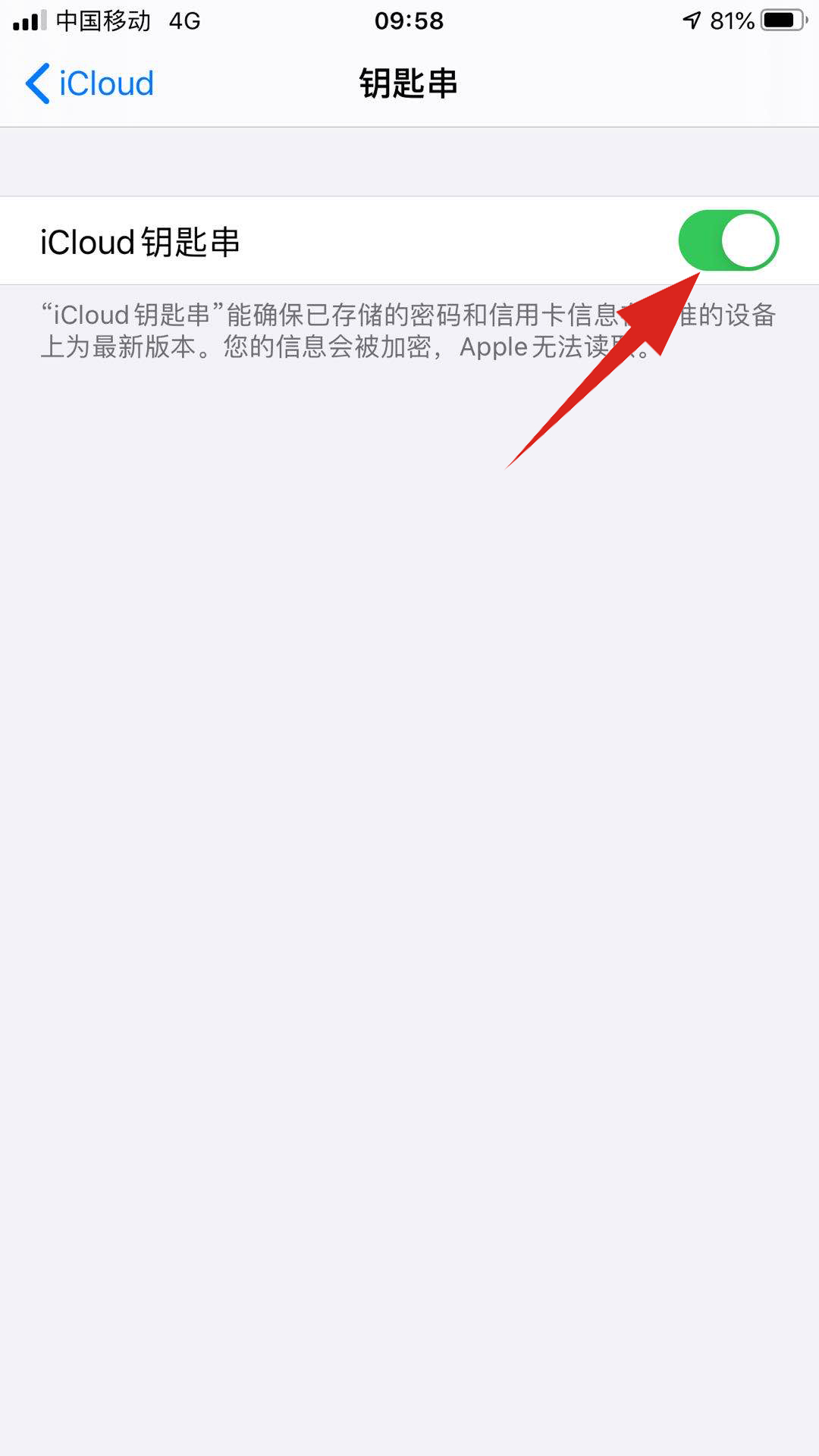 icloud钥匙串什么意思(4)