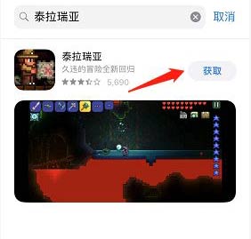 如何用iPhone手机下载泰拉瑞亚？(5)