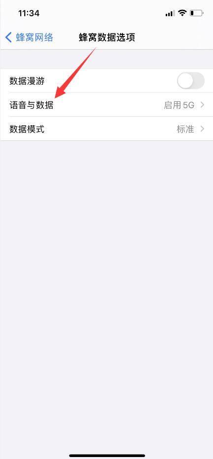 iphone12如何关闭5g(3)