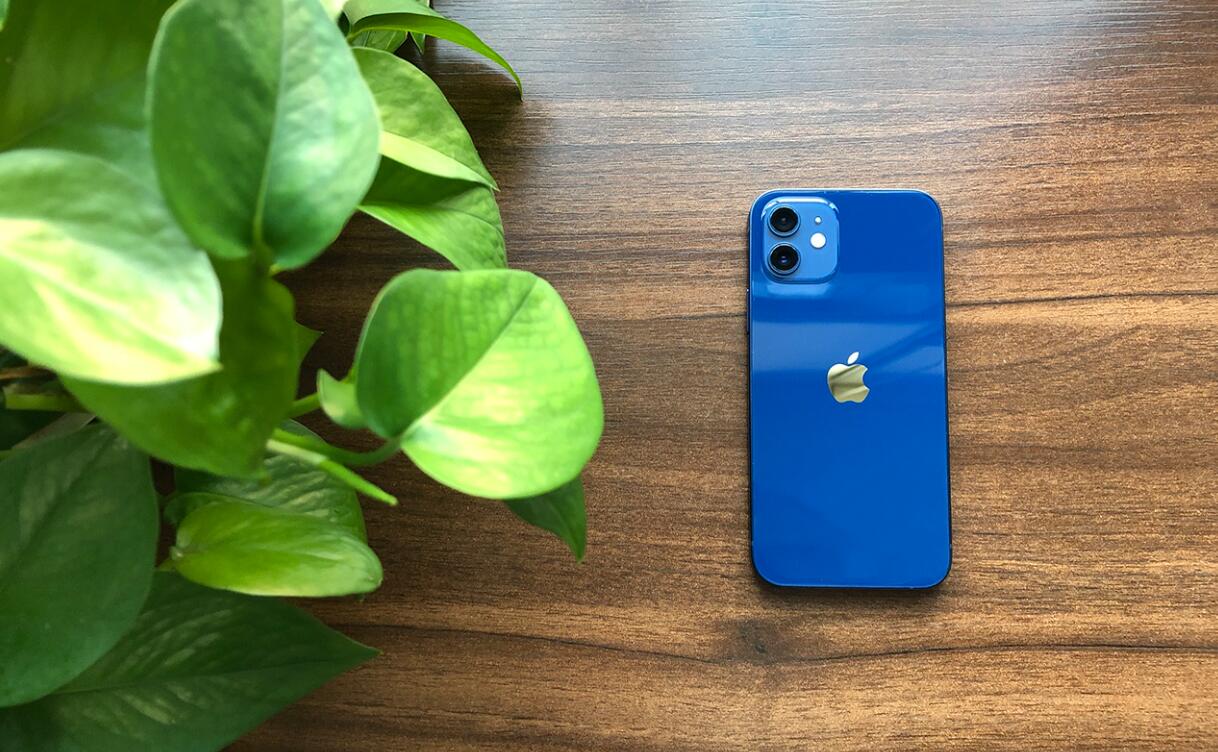 iphone12蓝色和pro蓝色一样吗