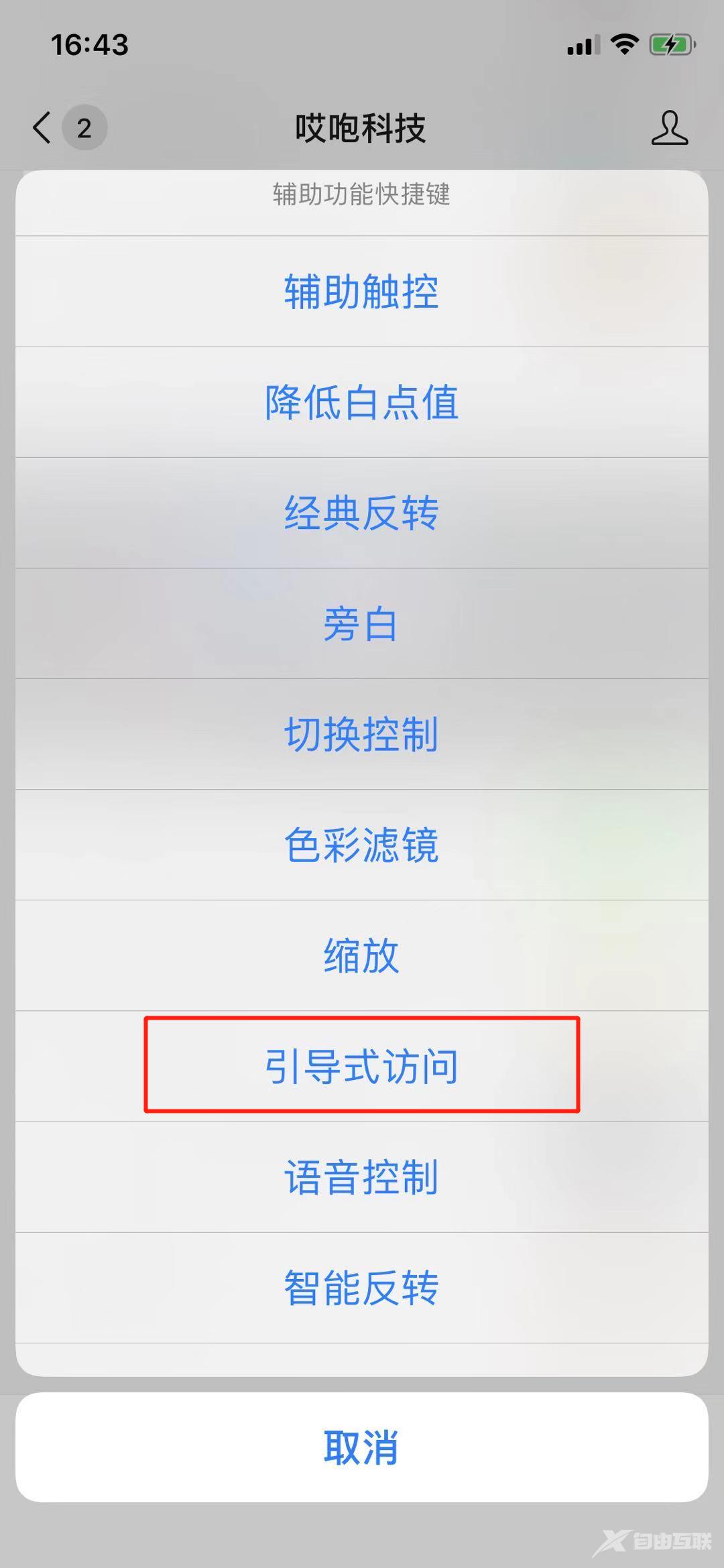 iPhone 底部小横条一招隐藏，牛啤！