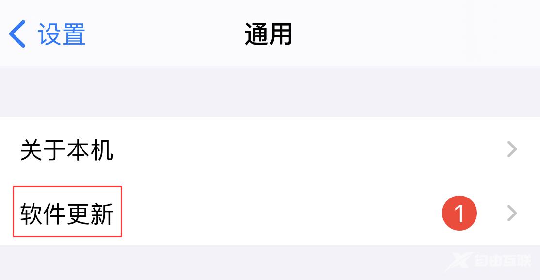 iOS 14 小技巧：可设置避免 iPhone 自动升级系统