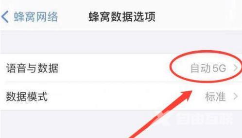 iPhone 13如何关闭5G网络？iPhone 13恒定4G设置方法