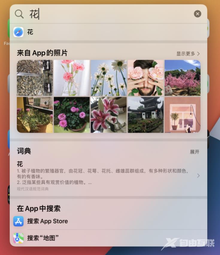 小技巧：iOS 15 聚焦功能支持搜索图片