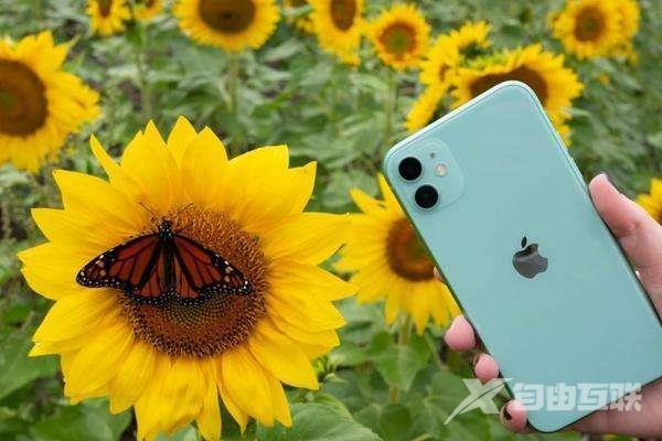 iPhone相机出现黑屏、无法正常使用的解决方案