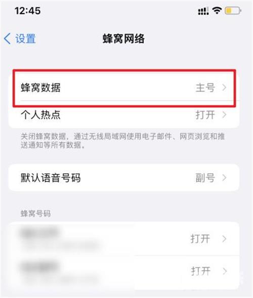 苹果双卡双待怎么设置