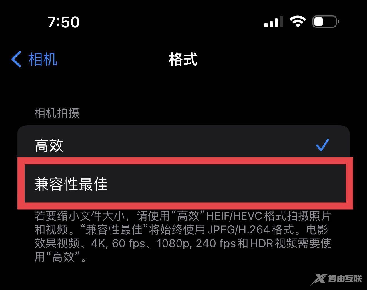 还不会用iPhone拍照？傻瓜级教程来了，一招学懂出大片