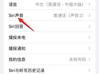 苹果手机在哪修改Siri声音