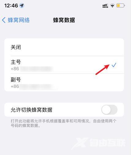 ios15怎么使用apn接入点