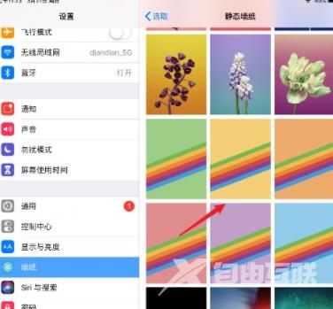 iPad2021怎么换壁纸-设置壁纸方法